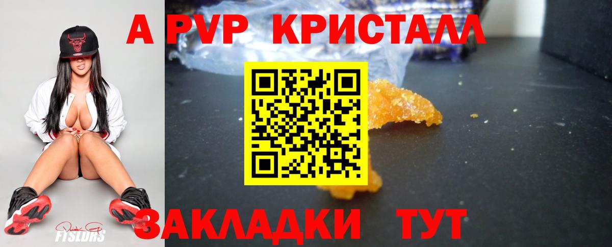 Альфа ПВП СК КРИС Тула