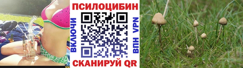Галлюциногенные грибы MAGIC MUSHROOMS  Тула 