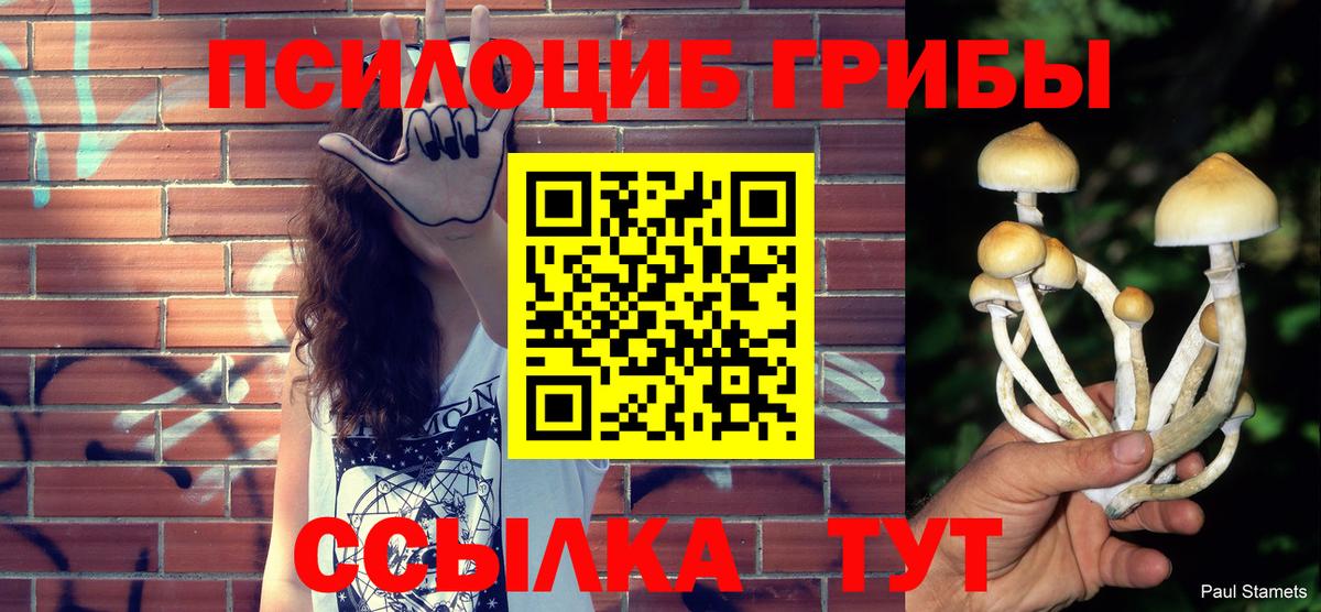 Галлюциногенные грибы Psilocybe Тула